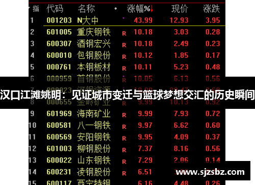 汉口江滩姚明：见证城市变迁与篮球梦想交汇的历史瞬间